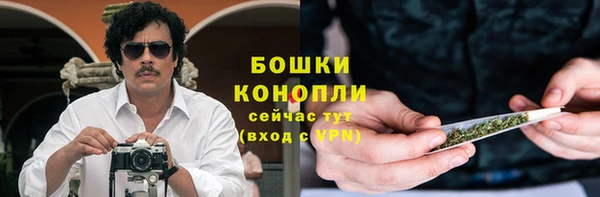 ПСИЛОЦИБИНОВЫЕ ГРИБЫ Алексеевка